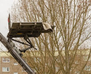 Möbellift in Königstein Möbellift in Königstein: Möbellift zwischen kahlen Bäumen vor einem Gebäude
