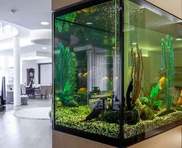 Aquarium-Umzug Königstein Aquarium-Umzug Königstein: Großes Aquarium in einem modernen Wohnzimmer
